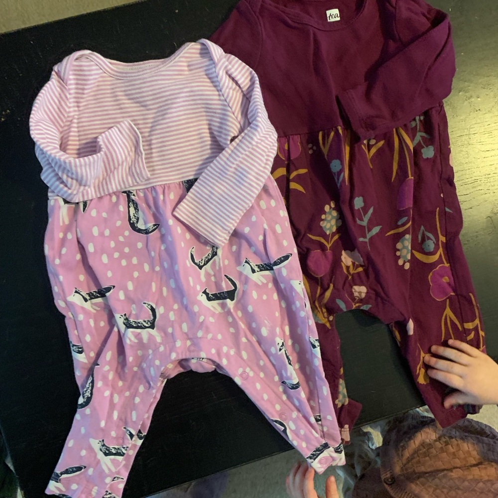 Tea Collection Set of Rompers - 3-6 Months